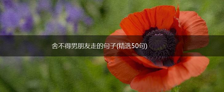 舍不得男朋友走的句子(精选50句),第1张