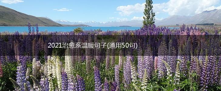 2021治愈系温暖句子(通用50句),第1张