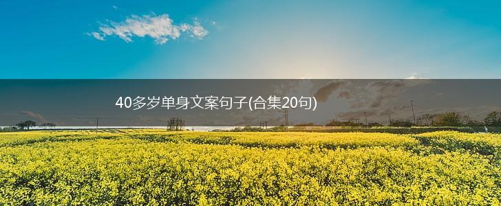 40多岁单身文案句子(合集20句),第1张
