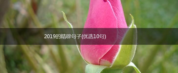 2019的精辟句子(优选10句),第1张