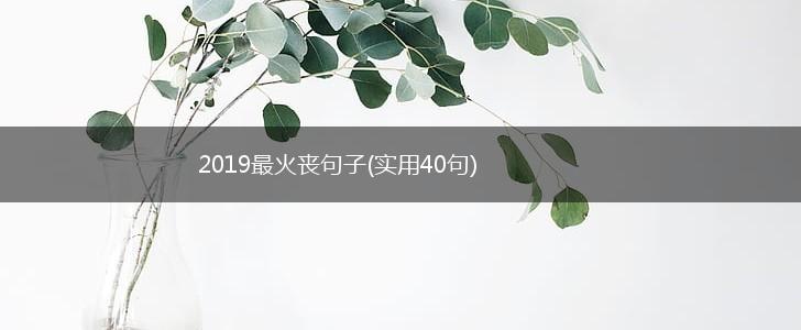 2019最火丧句子(实用40句),第1张