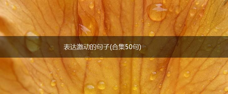 表达激动的句子(合集50句),第1张