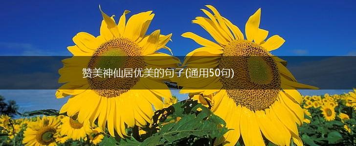 赞美神仙居优美的句子(通用50句),第1张