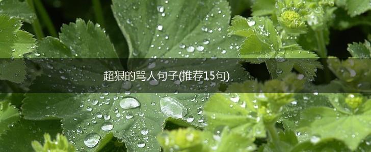 超狠的骂人句子(推荐15句),第1张