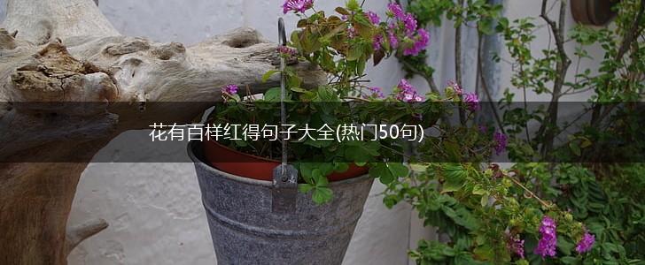 花有百样红得句子大全(热门50句),第1张