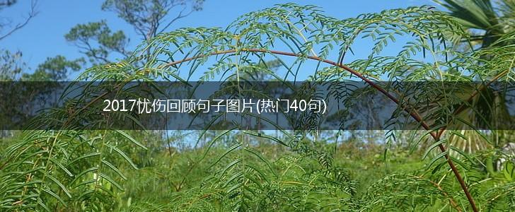 2017忧伤回顾句子图片(热门40句),第1张