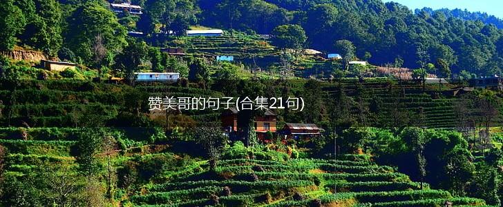 赞美哥的句子(合集21句),第1张