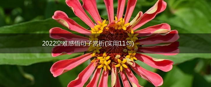2022空难感悟句子赏析(实用11句),第1张