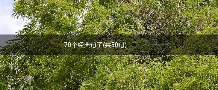 70个经典句子(共50句),第1张