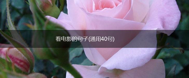 看电影的句子(通用40句),第1张