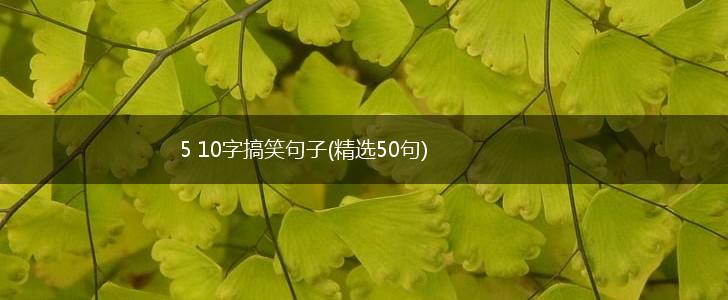5 10字搞笑句子(精选50句),第1张