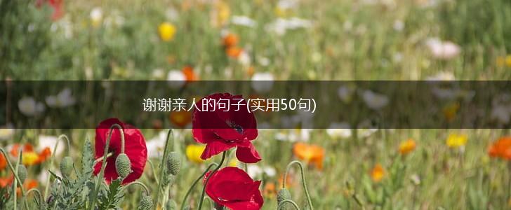 谢谢亲人的句子(实用50句),第1张