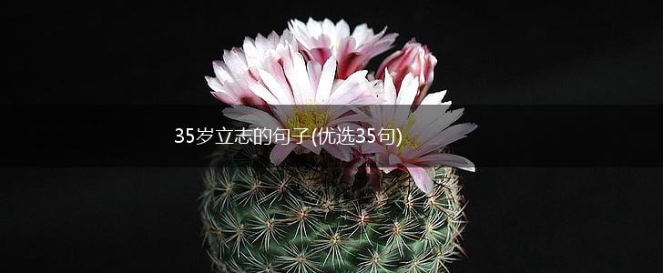 35岁立志的句子(优选35句),第1张