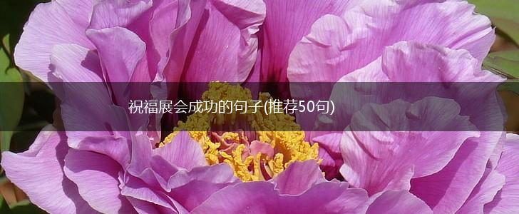 祝福展会成功的句子(推荐50句),第1张