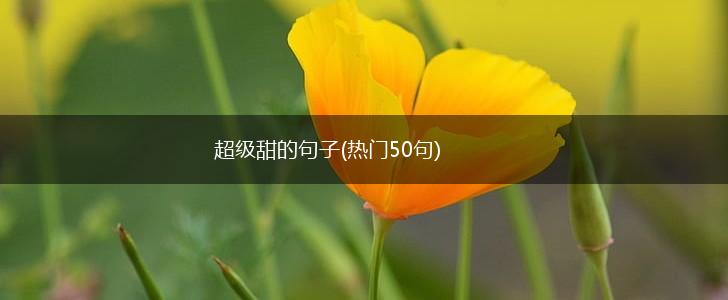 超级甜的句子(热门50句),第1张