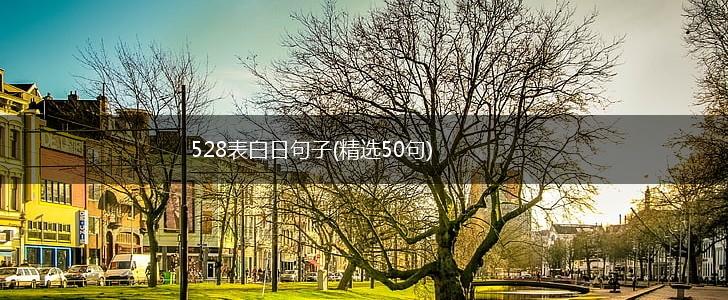528表白日句子(精选50句),第1张