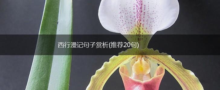 西行漫记句子赏析(推荐20句),第1张