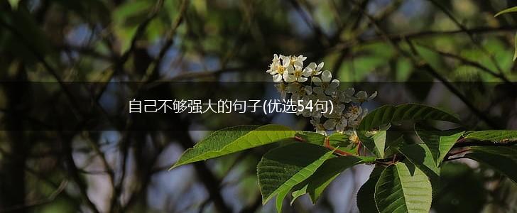 自己不够强大的句子(优选54句),第1张