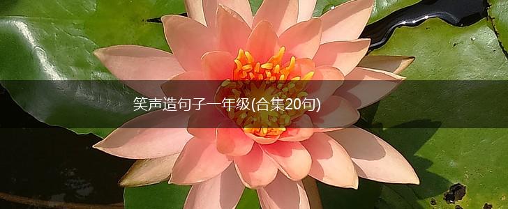 笑声造句子一年级(合集20句),第1张
