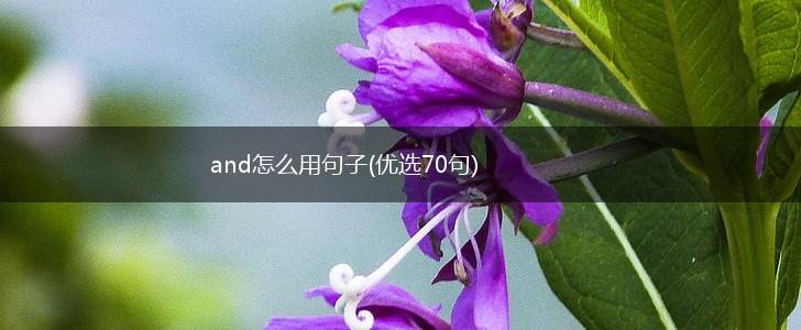 and怎么用句子(优选70句),第1张
