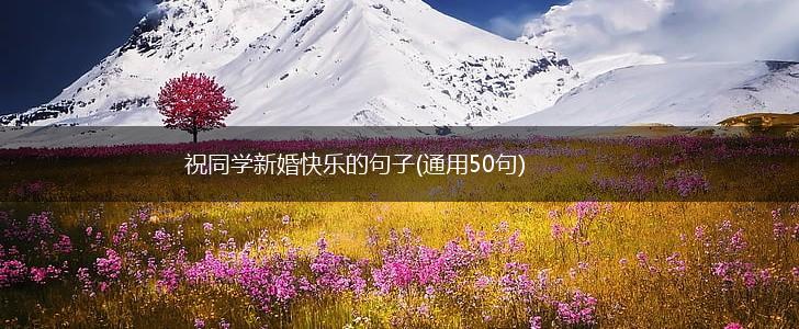 祝同学新婚快乐的句子(通用50句),第1张