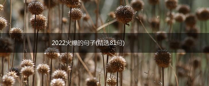 2022火爆的句子(精选81句),第1张