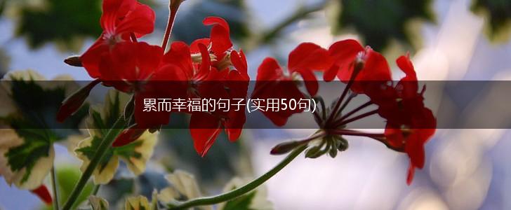 累而幸福的句子(实用50句),第1张