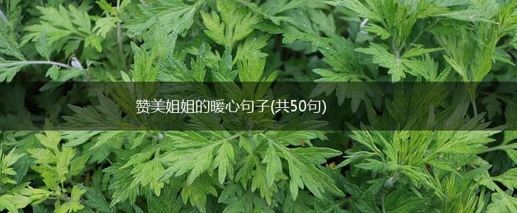 赞美姐姐的暖心句子(共50句),第1张