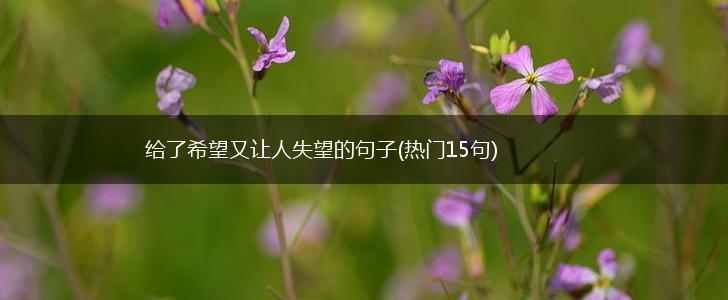 给了希望又让人失望的句子(热门15句),第1张