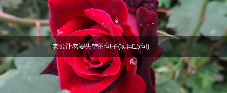 老公让老婆失望的句子(实用15句),第1张
