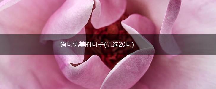 语句优美的句子(优选20句),第1张