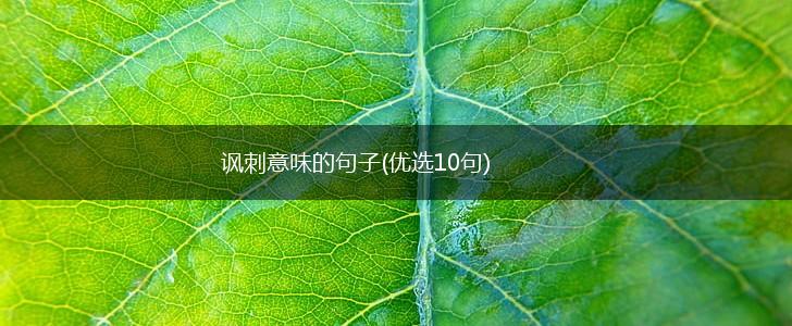 讽刺意味的句子(优选10句),第1张