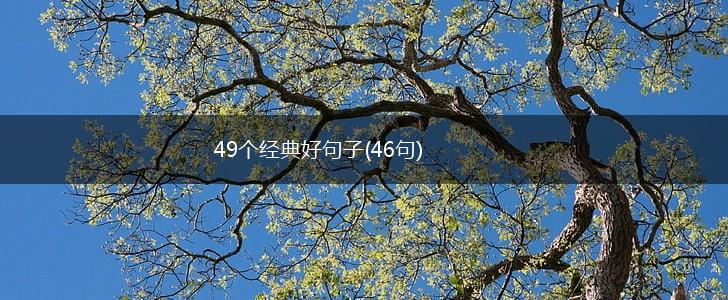 49个经典好句子(46句),第1张