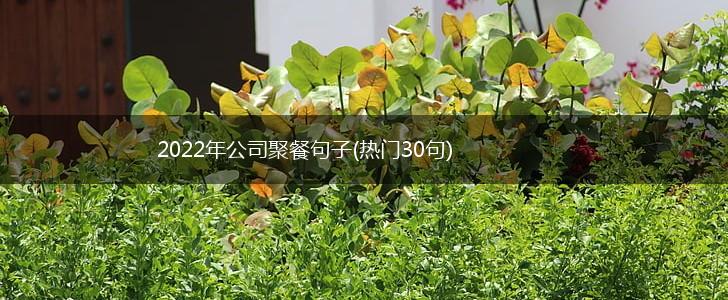 2022年公司聚餐句子(热门30句),第1张
