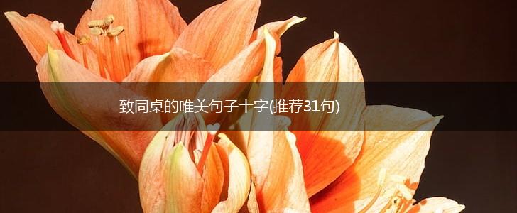 致同桌的唯美句子十字(推荐31句),第1张