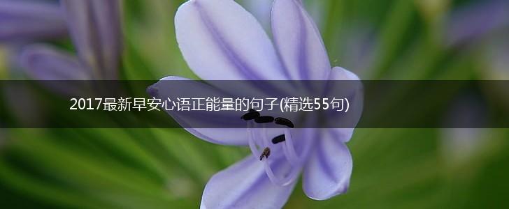 2017最新早安心语正能量的句子(精选55句),第1张