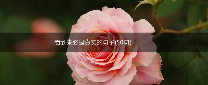 看到未必是真实的句子(50句),第1张