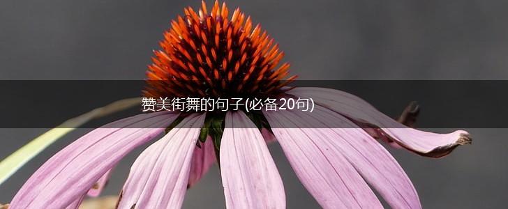 赞美街舞的句子(必备20句),第1张