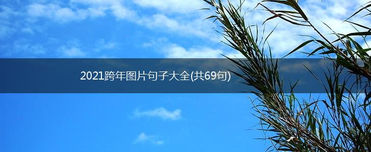 2021跨年图片句子大全(共69句),第1张