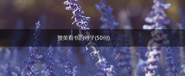 赞美看书的句子(50句),第1张