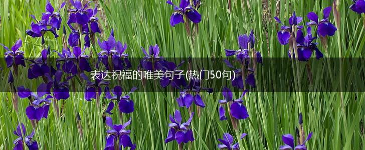 表达祝福的唯美句子(热门50句),第1张