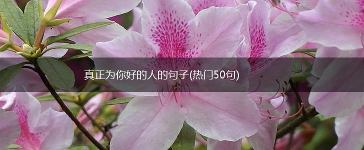 真正为你好的人的句子(热门50句),第1张