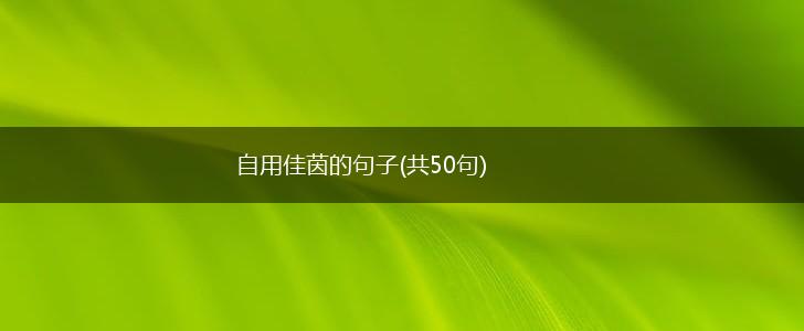 自用佳茵的句子(共50句),第1张