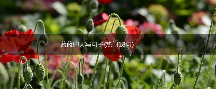 蓝蓝的天写句子(热门18句),第1张
