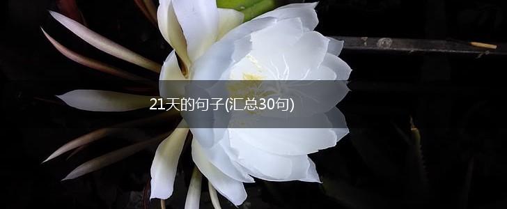 21天的句子(汇总30句),第1张