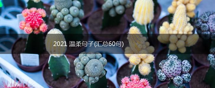 2021 温柔句子(汇总60句),第1张