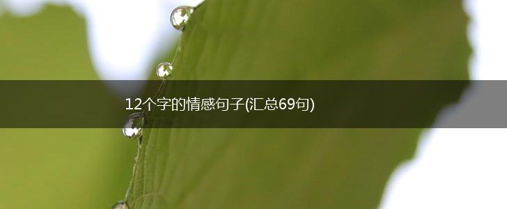 12个字的情感句子(汇总69句),第1张