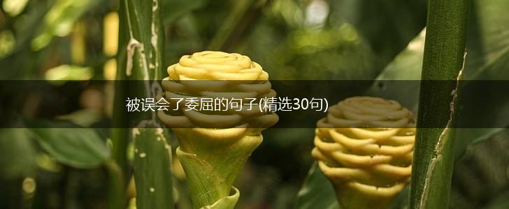 被误会了委屈的句子(精选30句),第1张