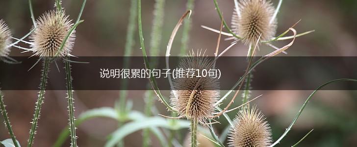 说明很累的句子(推荐10句),第1张