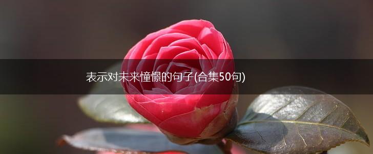 表示对未来憧憬的句子(合集50句),第1张